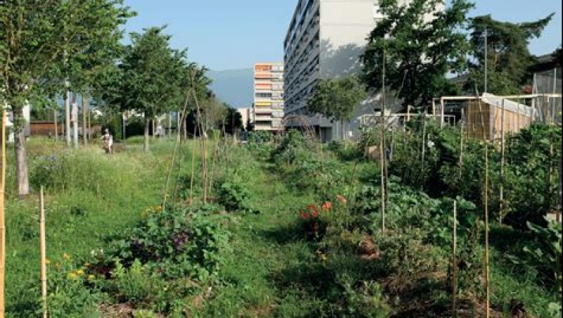 Séance plénière de clôture : « Villes fertiles, villes nourricières »